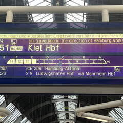 24-06-19 06-42-38 9674